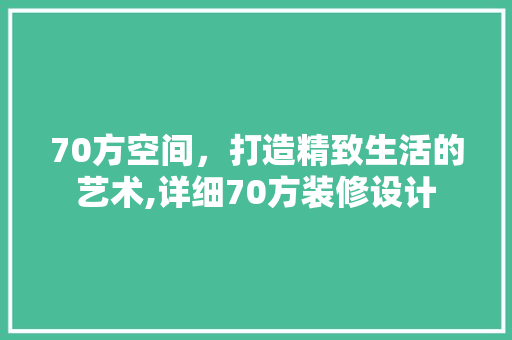 70方空间，打造精致生活的艺术,详细70方装修设计