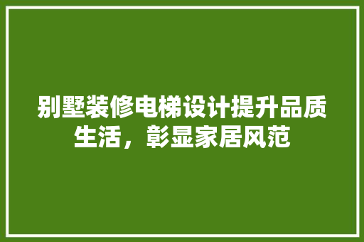 别墅装修电梯设计提升品质生活，彰显家居风范