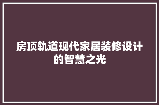 房顶轨道现代家居装修设计的智慧之光