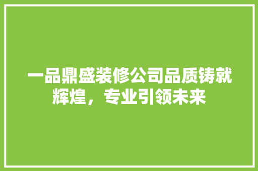 一品鼎盛装修公司品质铸就辉煌，专业引领未来