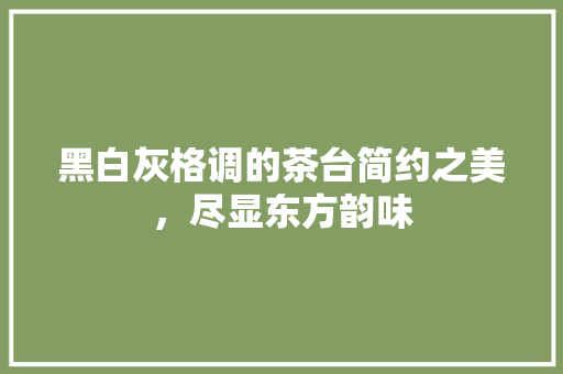 黑白灰格调的茶台简约之美，尽显东方韵味  第1张