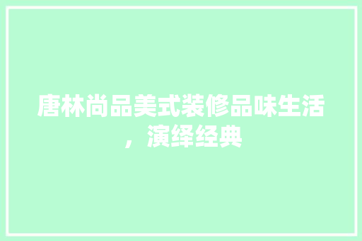唐林尚品美式装修品味生活，演绎经典