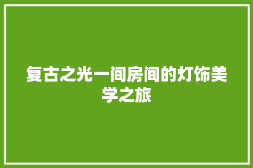 复古之光一间房间的灯饰美学之旅