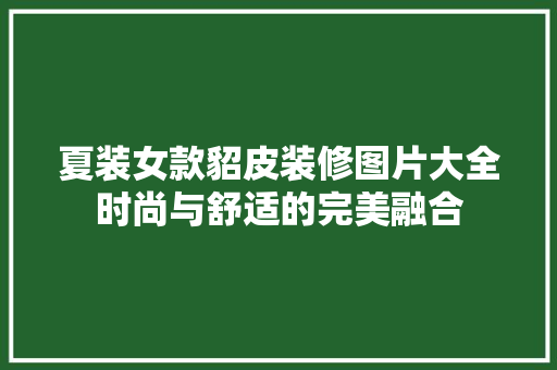 夏装女款貂皮装修图片大全时尚与舒适的完美融合