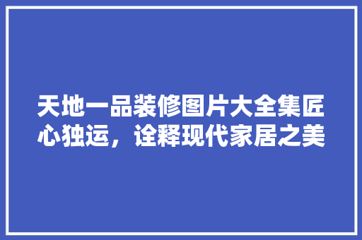 天地一品装修图片大全集匠心独运，诠释现代家居之美
