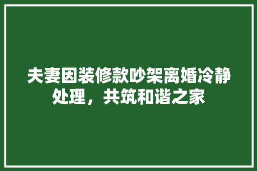 夫妻因装修款吵架离婚冷静处理，共筑和谐之家  第1张