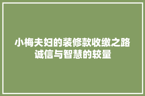 小梅夫妇的装修款收缴之路诚信与智慧的较量