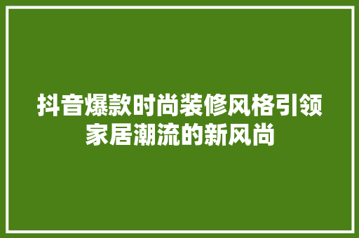 抖音爆款时尚装修风格引领家居潮流的新风尚