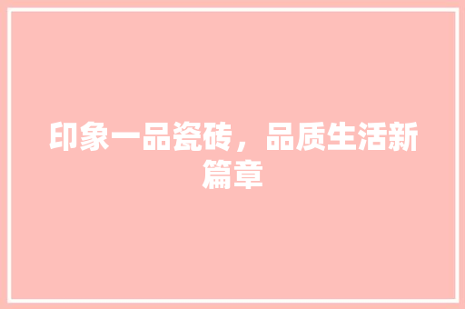 印象一品瓷砖，品质生活新篇章