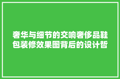 奢华与细节的交响奢侈品鞋包装修效果图背后的设计哲学  第1张
