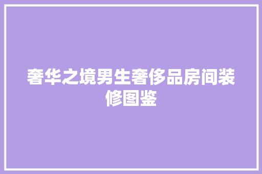 奢华之境男生奢侈品房间装修图鉴