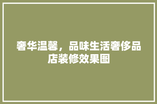 奢华温馨，品味生活奢侈品店装修效果图