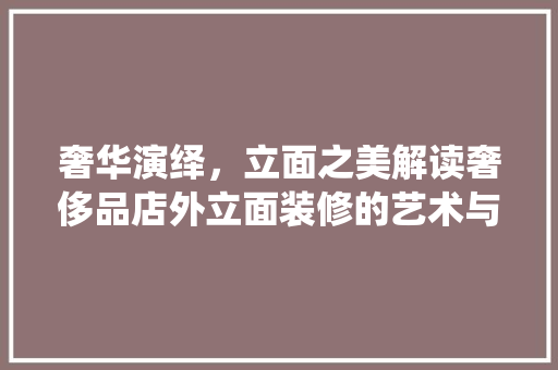 奢华演绎，立面之美解读奢侈品店外立面装修的艺术与匠心