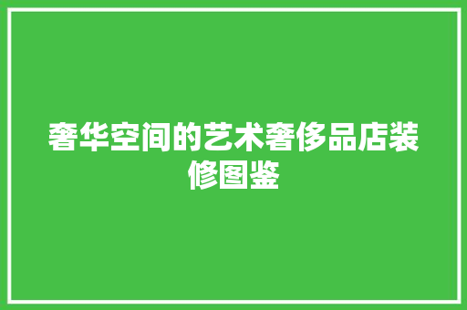 奢华空间的艺术奢侈品店装修图鉴  第1张