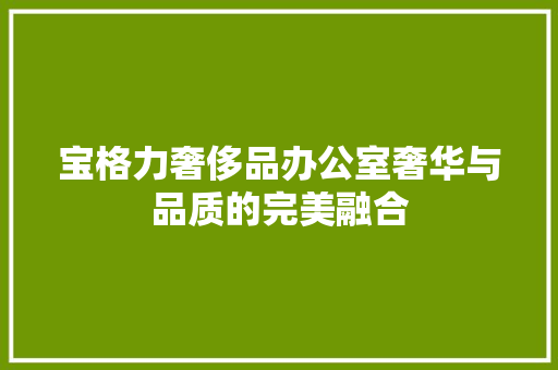宝格力奢侈品办公室奢华与品质的完美融合
