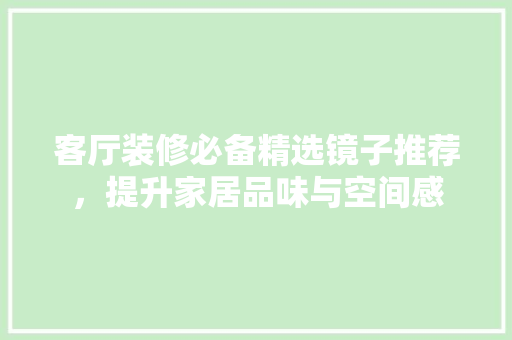 客厅装修必备精选镜子推荐，提升家居品味与空间感