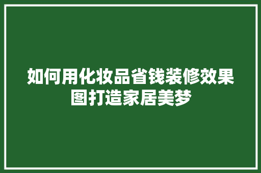 如何用化妆品省钱装修效果图打造家居美梦