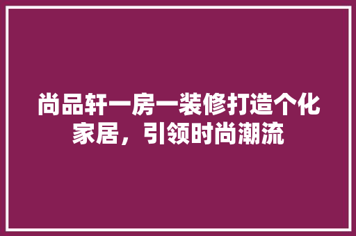 尚品轩一房一装修打造个化家居，引领时尚潮流