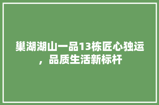 巢湖湖山一品13栋匠心独运，品质生活新标杆