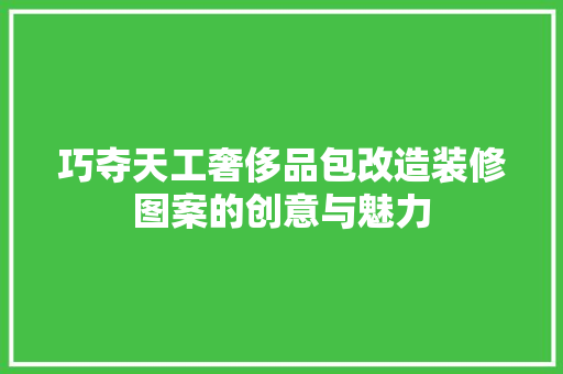 巧夺天工奢侈品包改造装修图案的创意与魅力