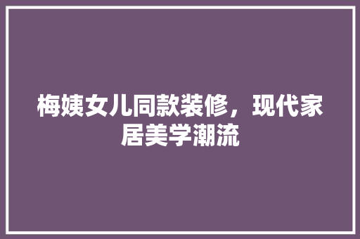 梅姨女儿同款装修，现代家居美学潮流