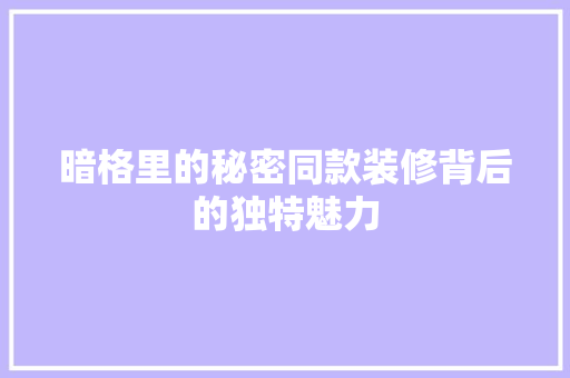 暗格里的秘密同款装修背后的独特魅力