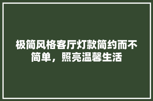 极简风格客厅灯款简约而不简单，照亮温馨生活