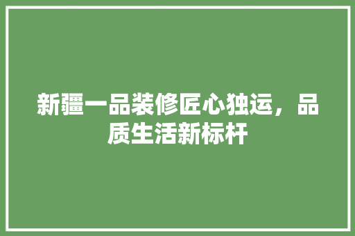 新疆一品装修匠心独运，品质生活新标杆