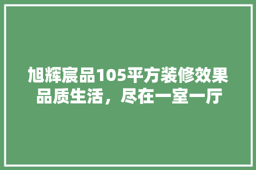 旭辉宸品105平方装修效果品质生活，尽在一室一厅