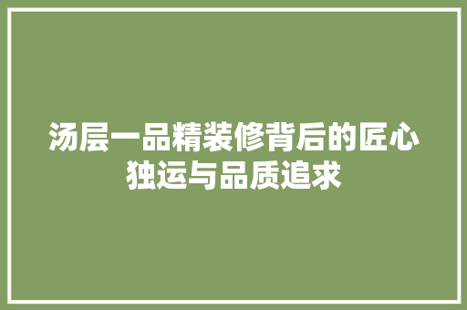 汤层一品精装修背后的匠心独运与品质追求