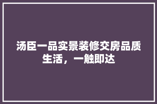 汤臣一品实景装修交房品质生活，一触即达