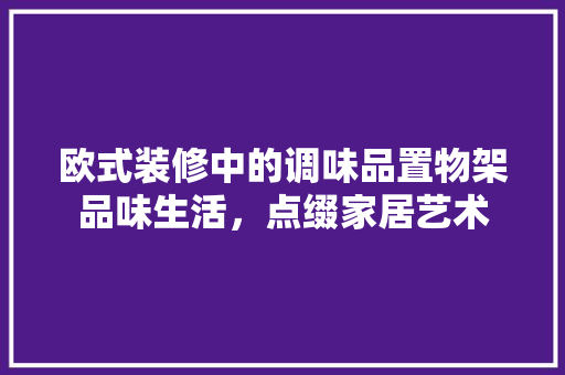 欧式装修中的调味品置物架品味生活，点缀家居艺术
