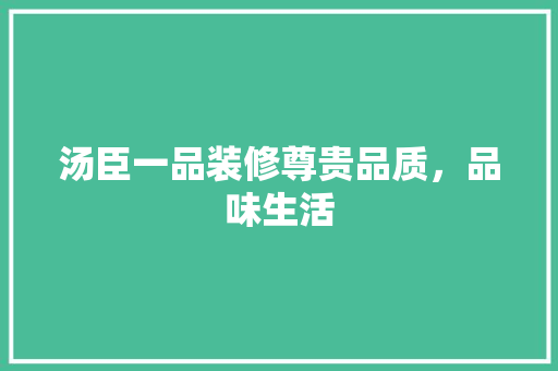 汤臣一品装修尊贵品质，品味生活