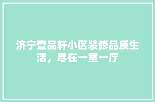 济宁壹品轩小区装修品质生活，尽在一室一厅