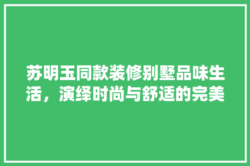 苏明玉同款装修别墅品味生活，演绎时尚与舒适的完美融合