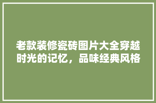 老款装修瓷砖图片大全穿越时光的记忆，品味经典风格