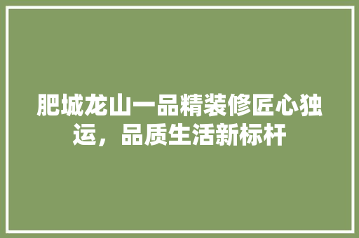 肥城龙山一品精装修匠心独运，品质生活新标杆