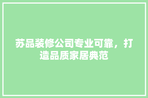 苏品装修公司专业可靠，打造品质家居典范