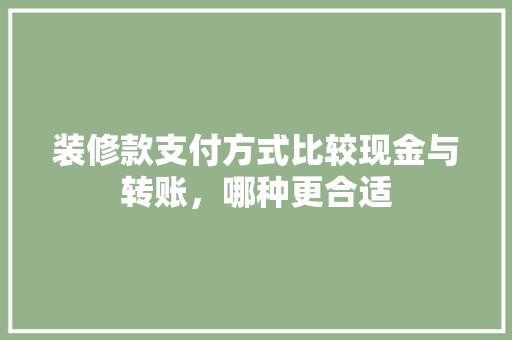 装修款支付方式比较现金与转账，哪种更合适