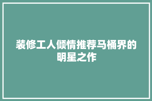 装修工人倾情推荐马桶界的明星之作