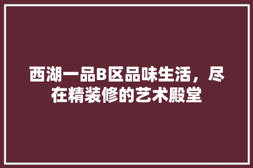 西湖一品B区品味生活，尽在精装修的艺术殿堂