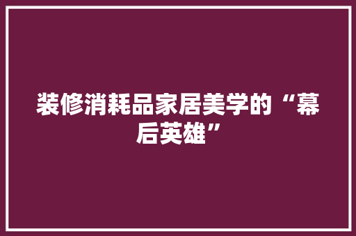 装修消耗品家居美学的“幕后英雄”