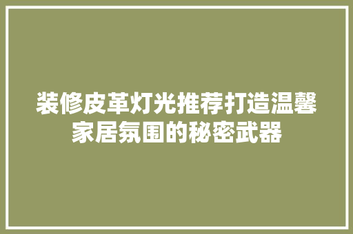 装修皮革灯光推荐打造温馨家居氛围的秘密武器