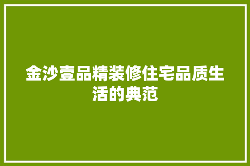 金沙壹品精装修住宅品质生活的典范