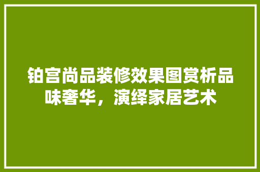 铂宫尚品装修效果图赏析品味奢华，演绎家居艺术