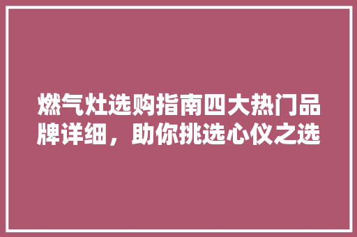 燃气灶选购指南四大热门品牌详细，助你挑选心仪之选！