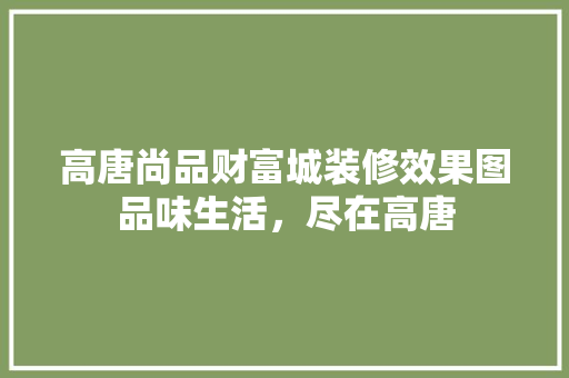 高唐尚品财富城装修效果图品味生活，尽在高唐