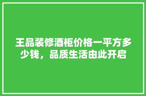 王品装修酒柜价格一平方多少钱，品质生活由此开启