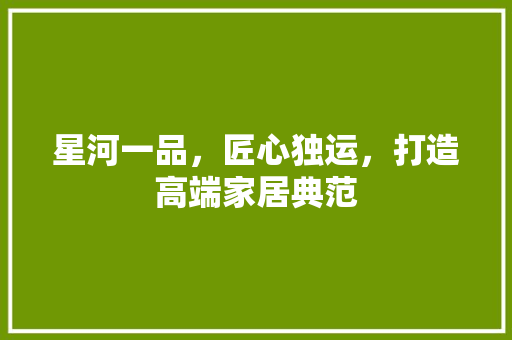 星河一品，匠心独运，打造高端家居典范