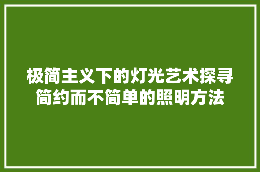 极简主义下的灯光艺术探寻简约而不简单的照明方法